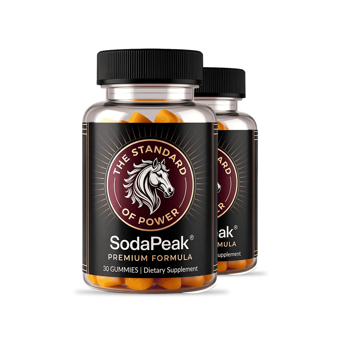 2 Bottle SodaPeak